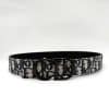 DIOR 30 Montaigne Belt