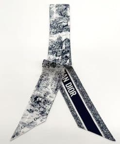 DIOR Silk Scarf Twilly